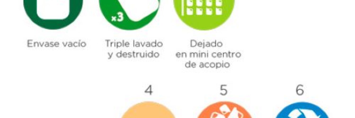 TÉCNICA TRIPLE LAVADO DE ENVASES DE PLAGUICIDAS – CAMPO LIMPIO