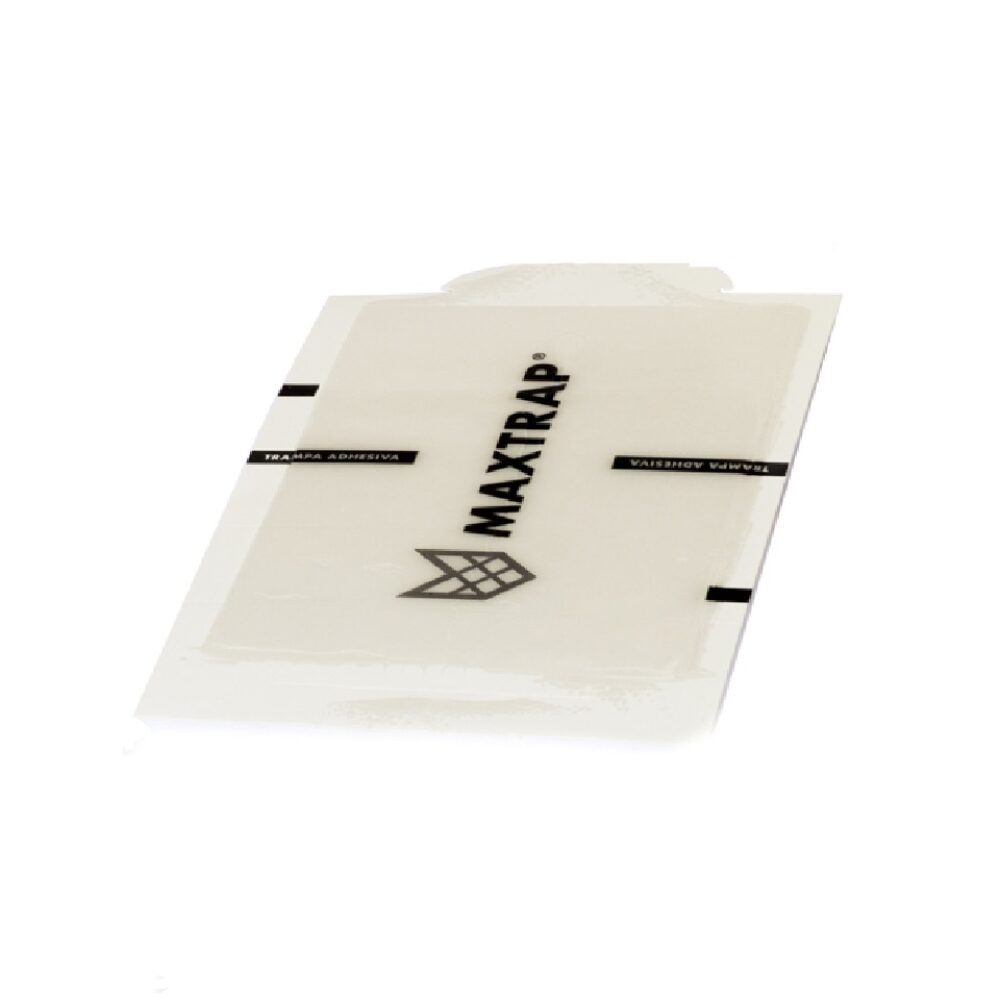 Maxtrap® M-21 Lámina de cartón