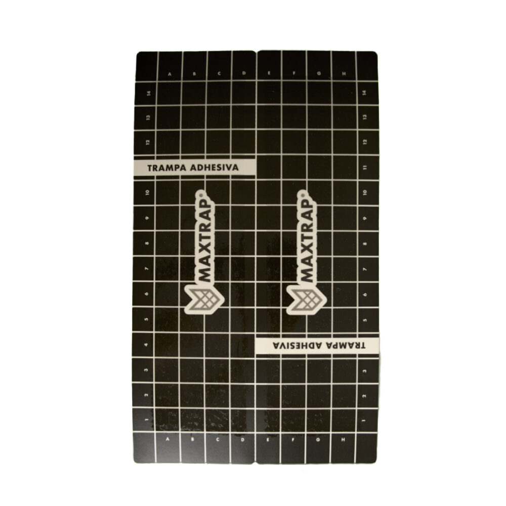 Maxtrap® M-41 UNIVERSAL Lámina de cartón