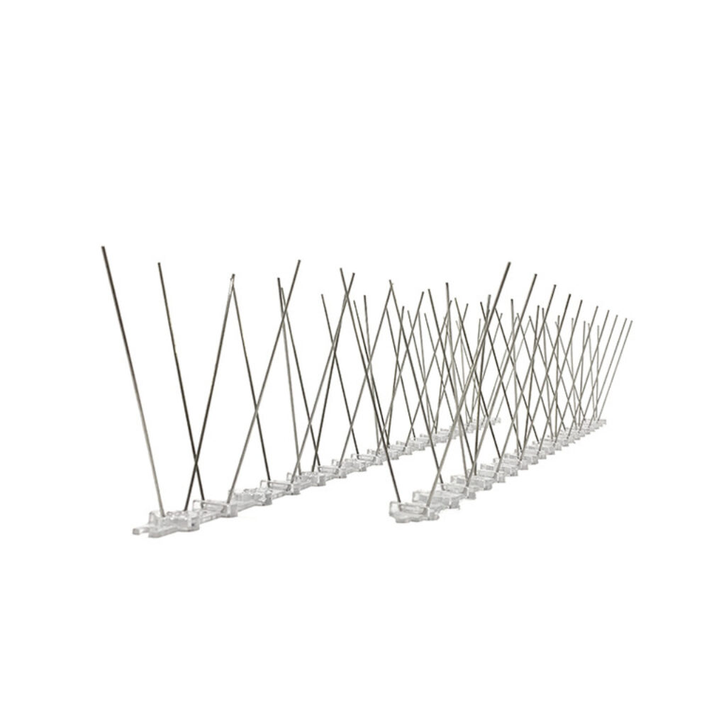 SPIKES BIRD