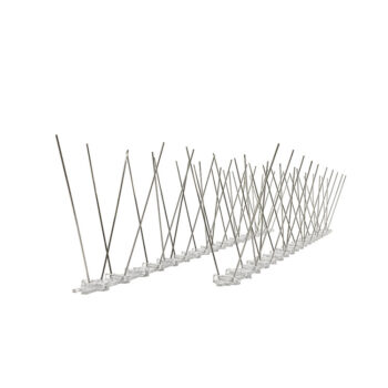 SPIKES BIRD